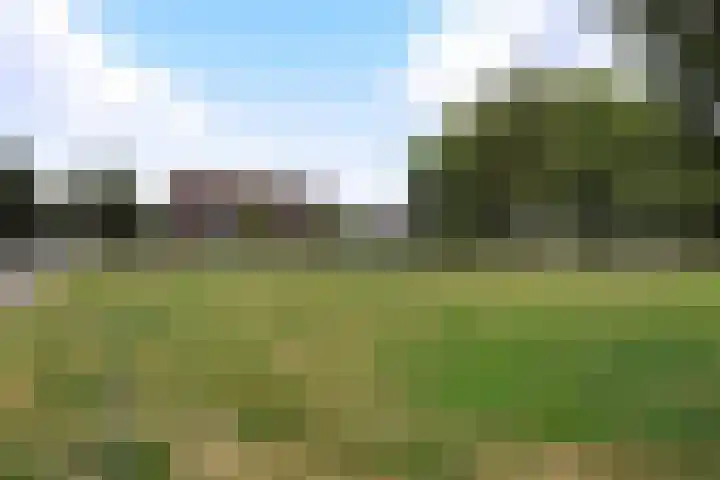 Warande 53 Valkenswaard thumbnail 13