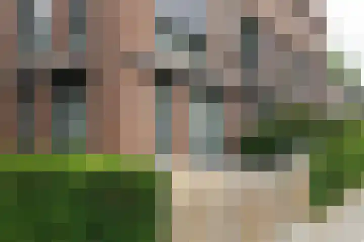 Warande 53 Valkenswaard thumbnail 14