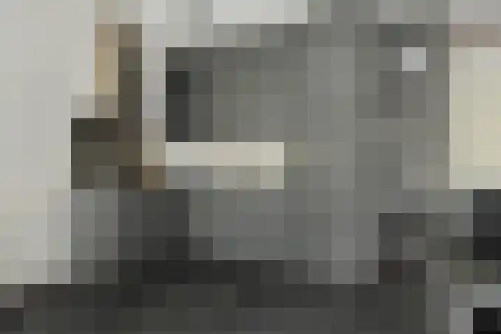 Warande 53 Valkenswaard thumbnail 5