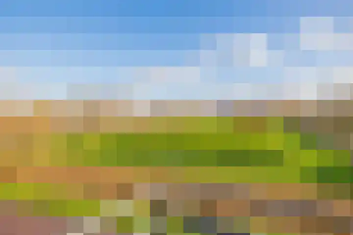 Warande 55 Alphen aan den Rijn thumbnail 15