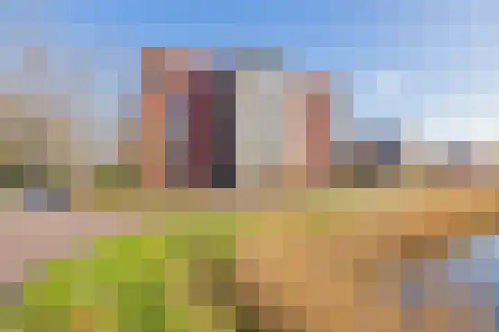 Warande 55 Alphen aan den Rijn thumbnail 17