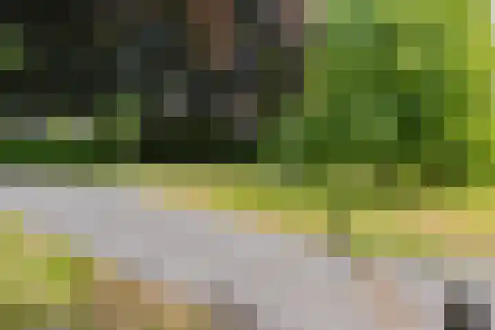 Warande 55 Alphen aan den Rijn thumbnail 20