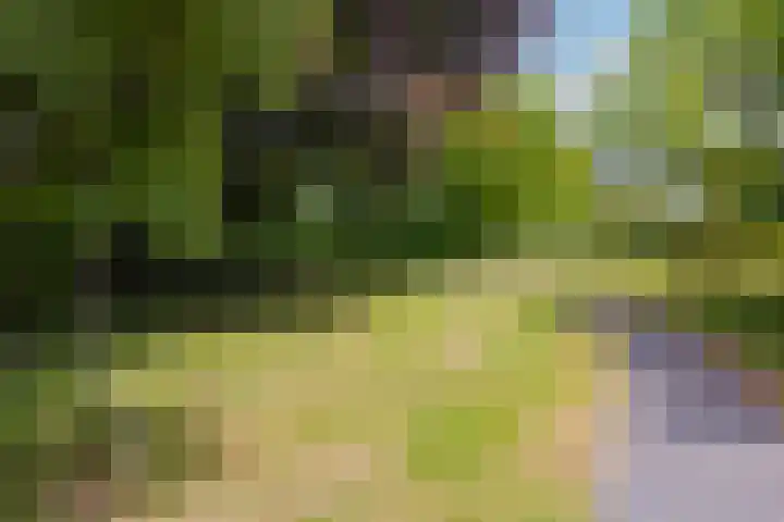 Warande 55 Alphen aan den Rijn thumbnail 21