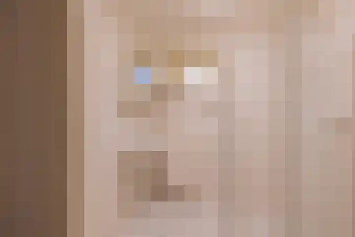 Warande 55 Alphen aan den Rijn thumbnail 9