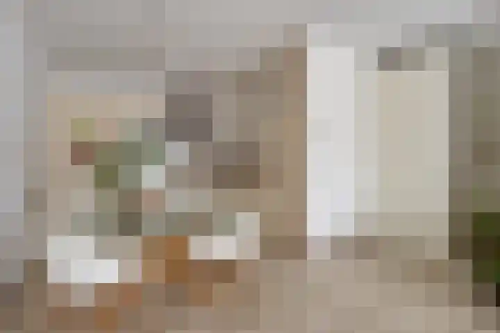 Warande 55 Valkenswaard thumbnail 21