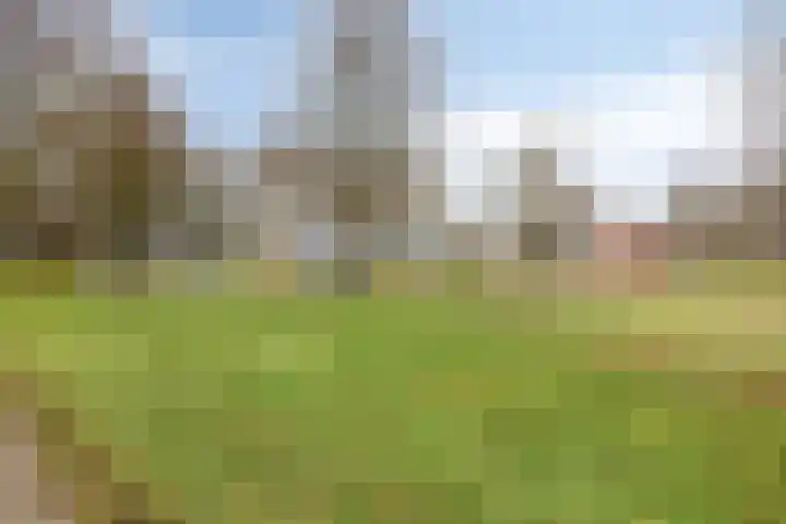 Warande 55 Valkenswaard thumbnail 26