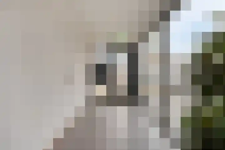 Warande 55 Valkenswaard thumbnail 9