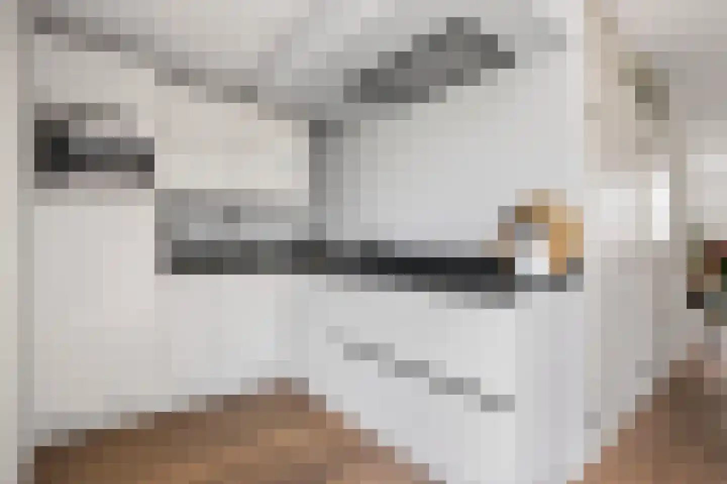 Warande 59 Wijk bij Duurstede thumbnail 14