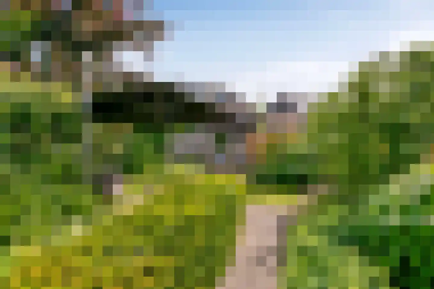 Warande 59 Wijk bij Duurstede thumbnail 21