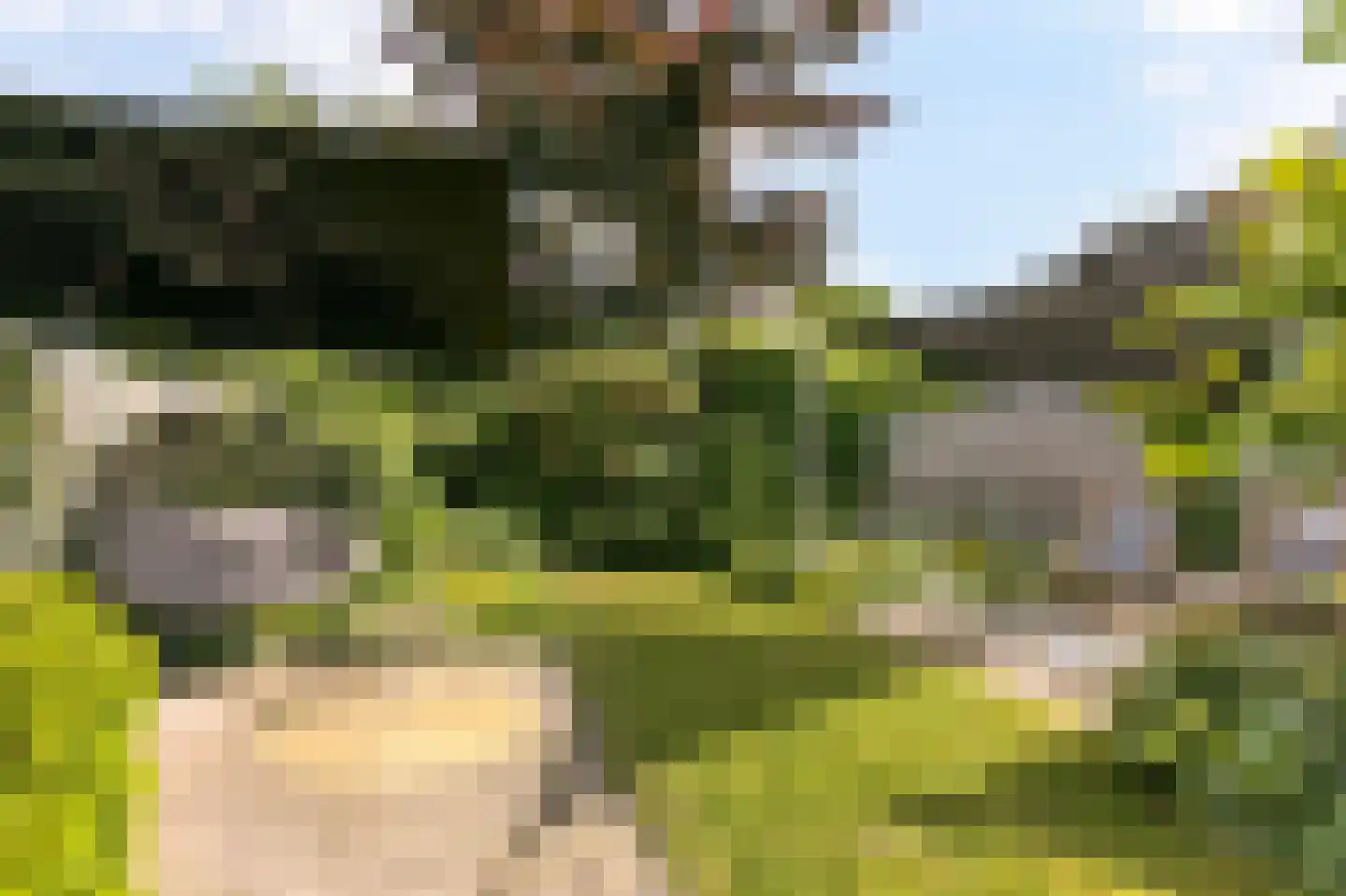 Warande 59 Wijk bij Duurstede thumbnail 22