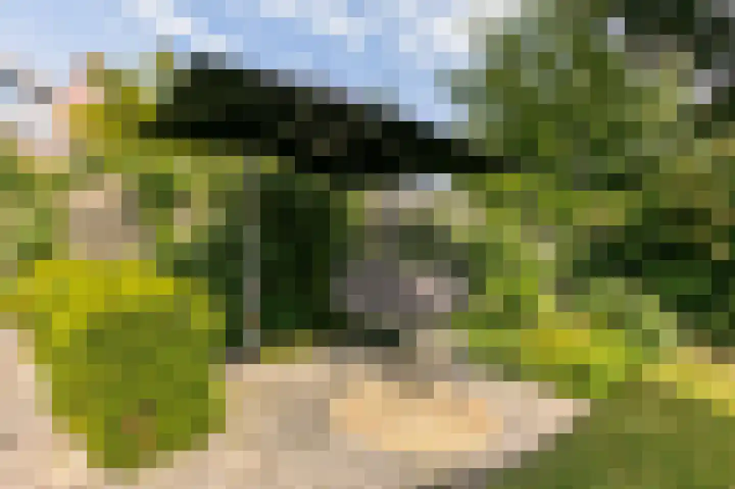 Warande 59 Wijk bij Duurstede thumbnail 23