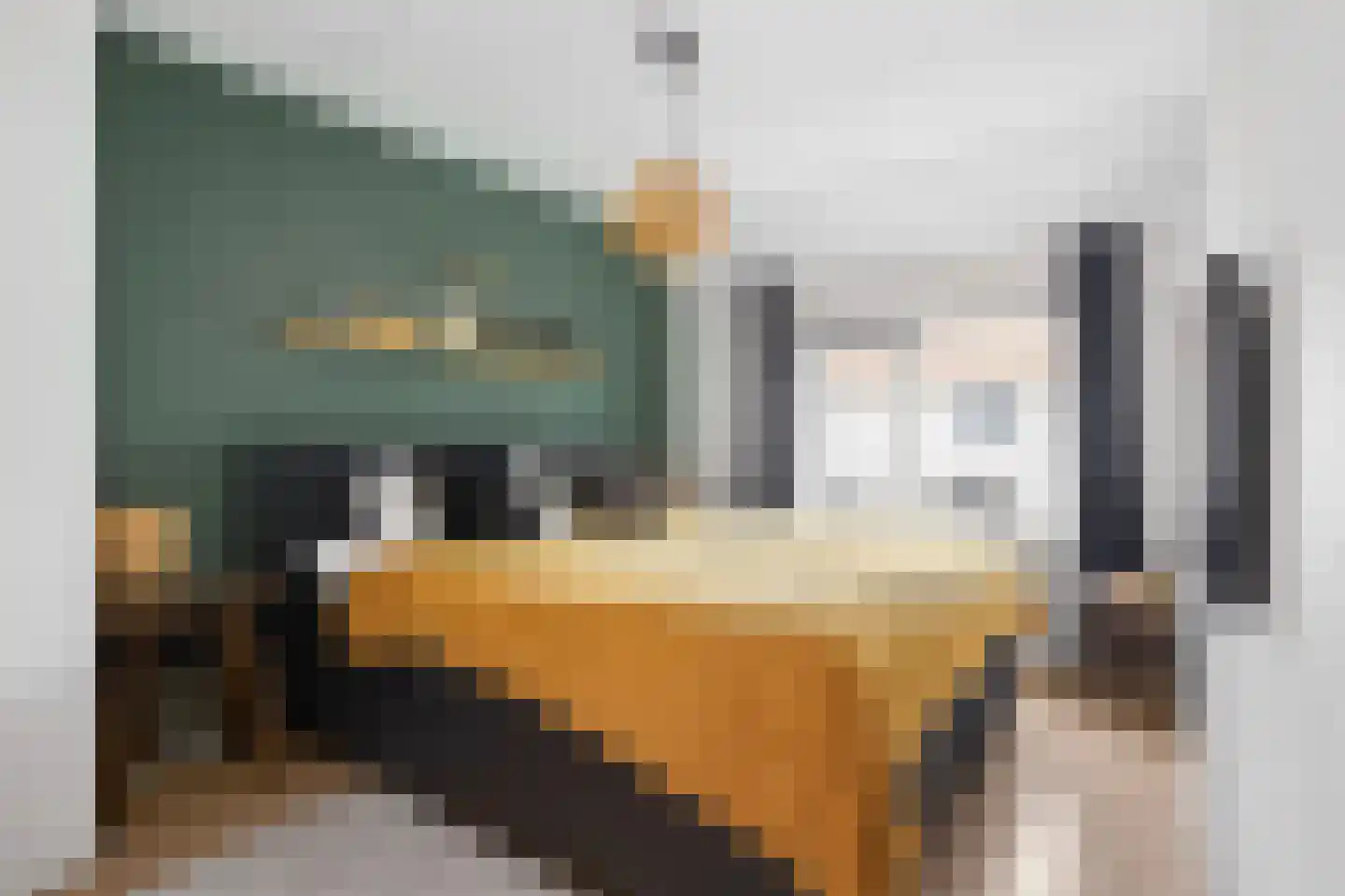 Warande 59 Wijk bij Duurstede thumbnail 29