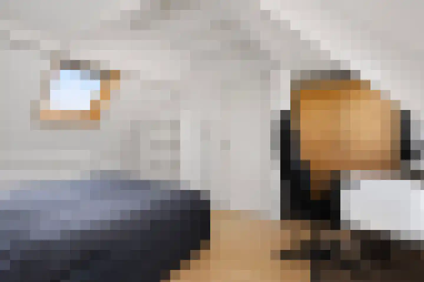 Warande 59 Wijk bij Duurstede thumbnail 42