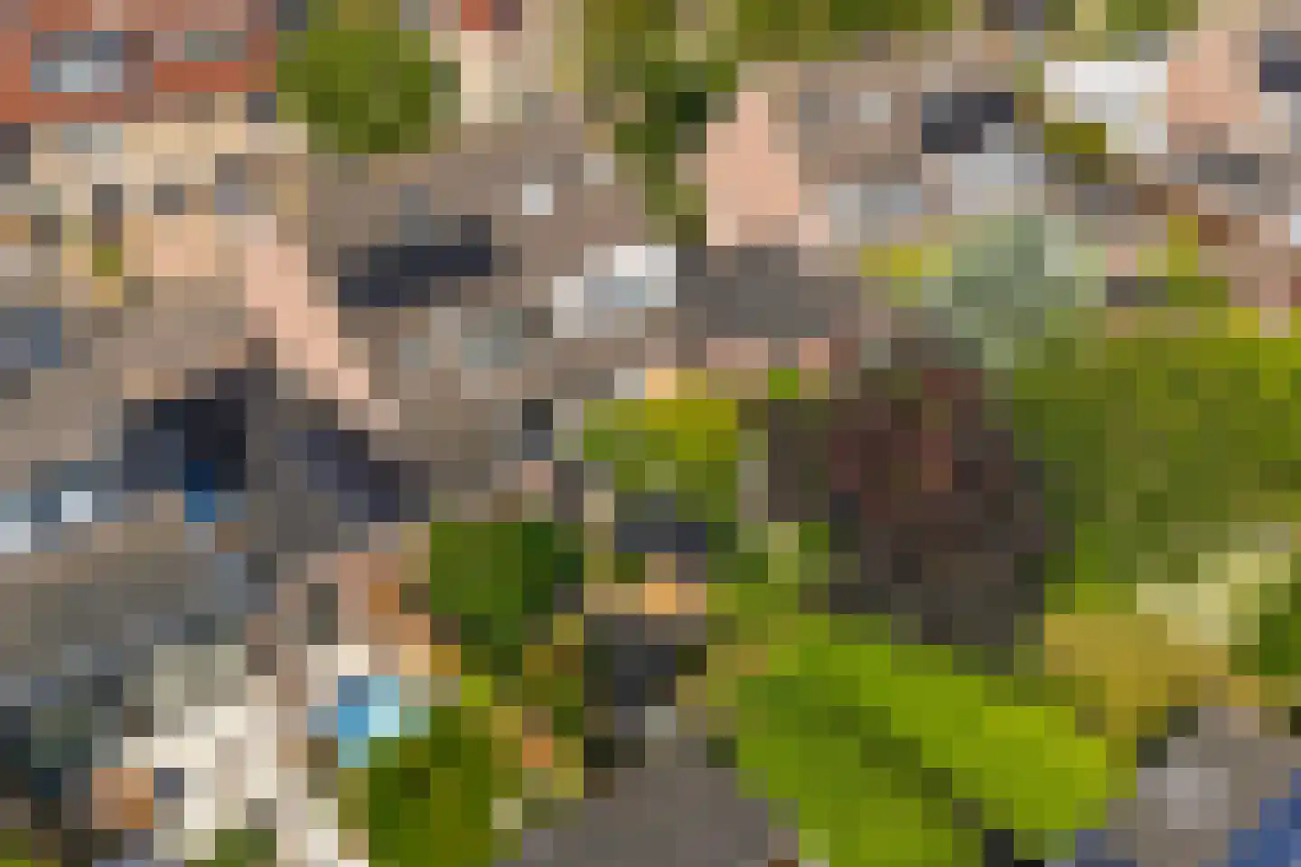 Warande 59 Wijk bij Duurstede thumbnail 43