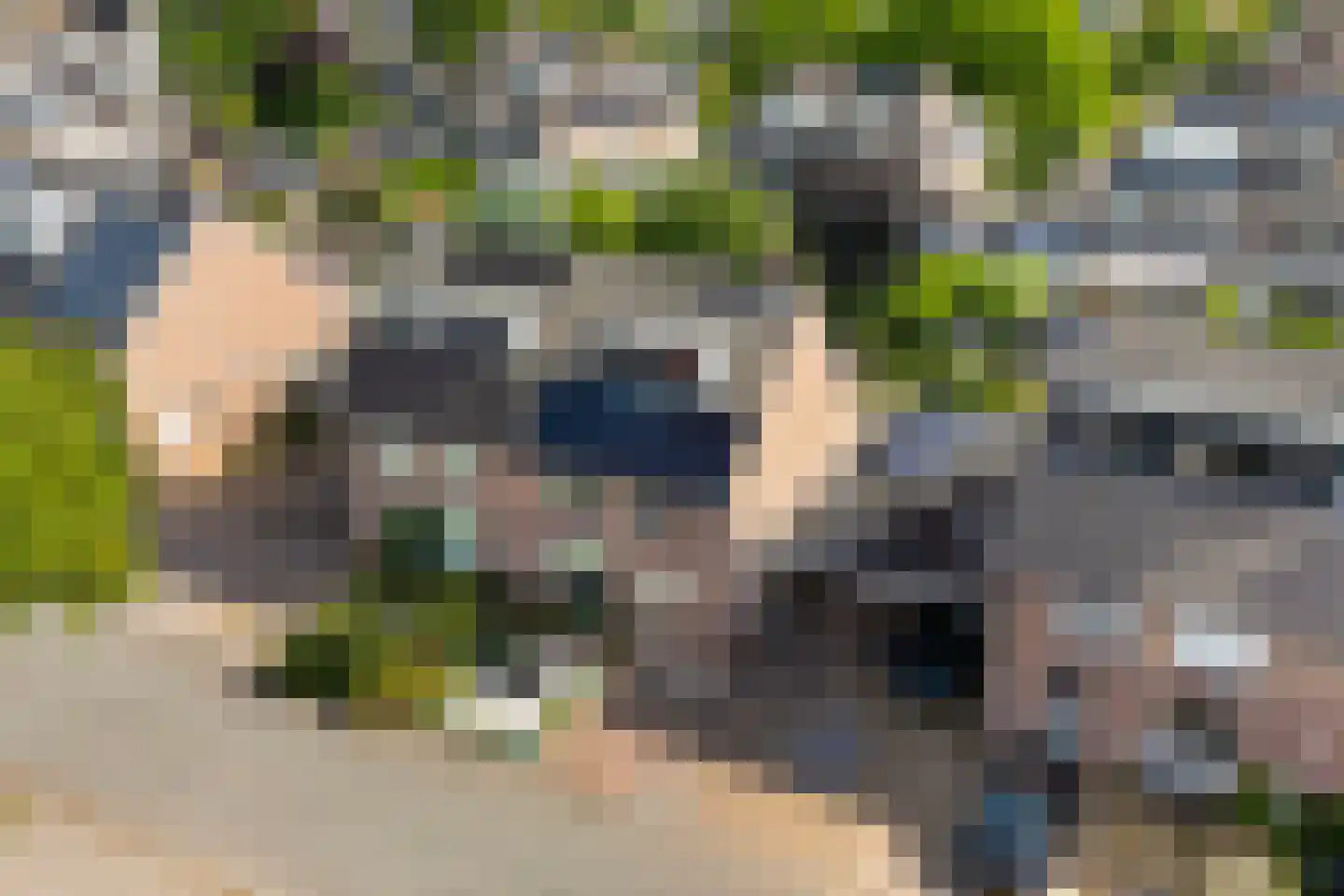 Warande 59 Wijk bij Duurstede thumbnail 48