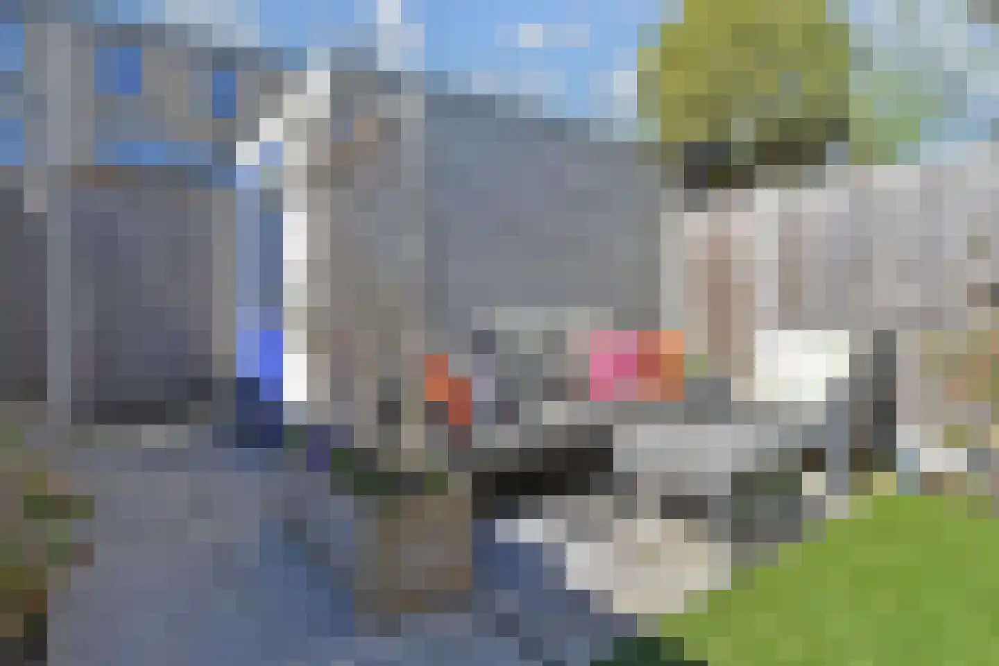 Warande 60 Rijswijk thumbnail 12