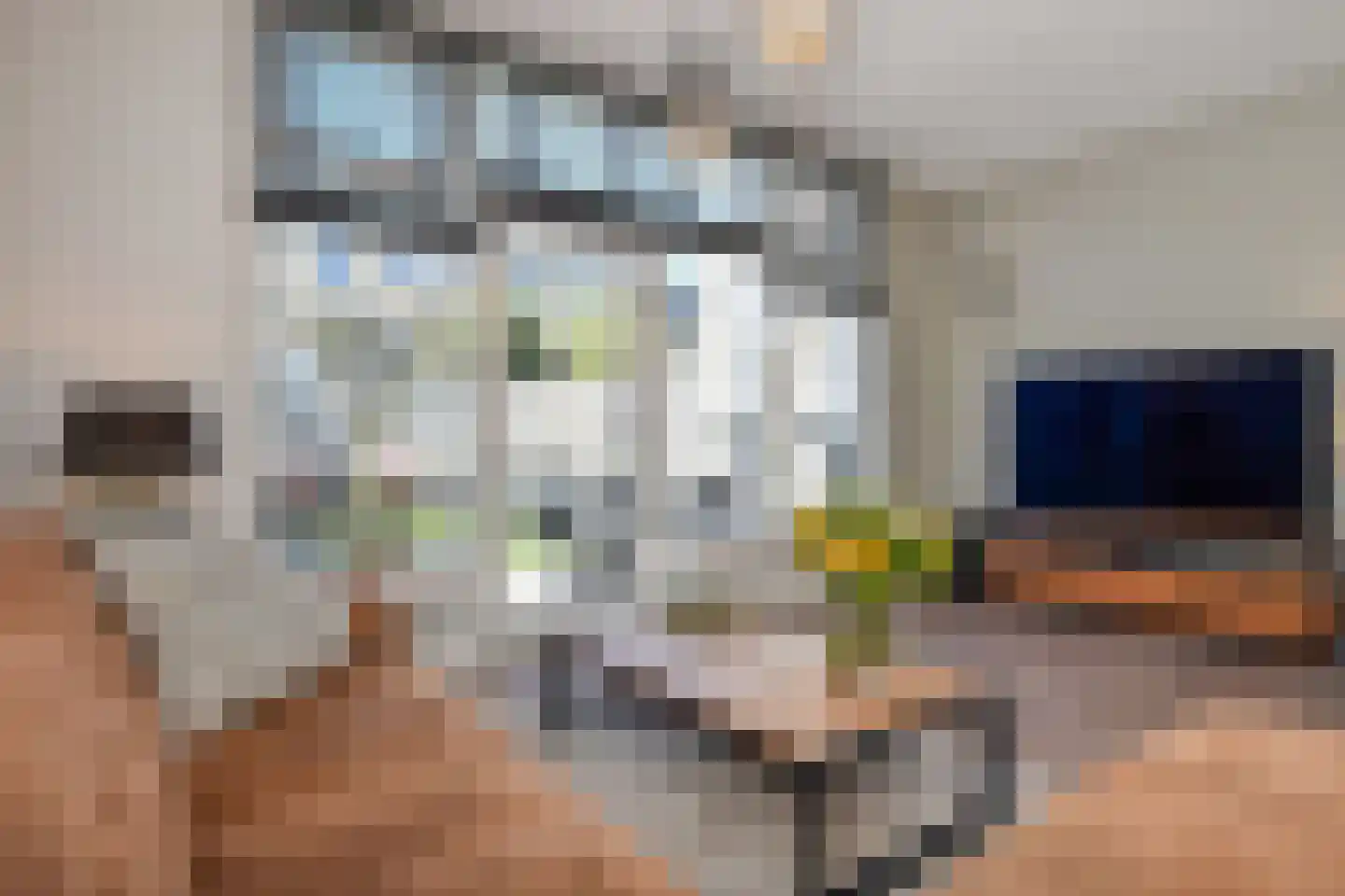Warande 60 Rijswijk thumbnail 8