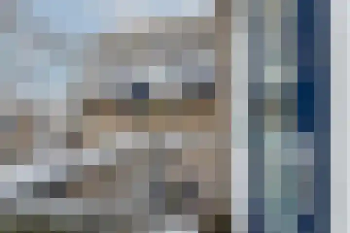 Warande 61 Rotterdam thumbnail 20