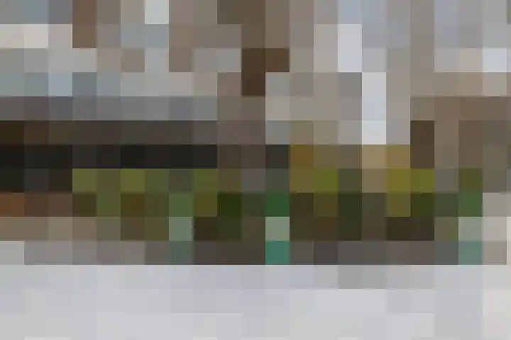 Warande 61 Rotterdam thumbnail 21
