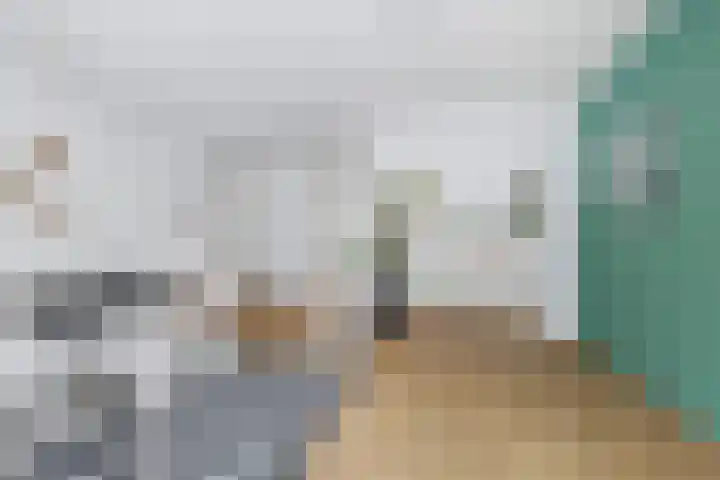 Warande 61 Rotterdam thumbnail 7