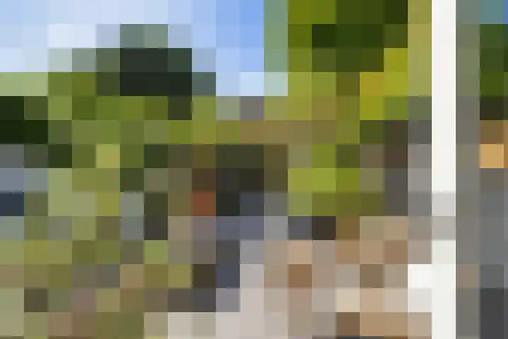 Warande 65 Schiedam thumbnail 14