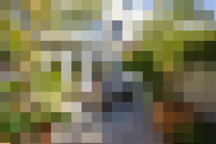 Warande 65 Schiedam thumbnail 17