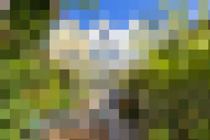 Warande 65 Schiedam thumbnail 18