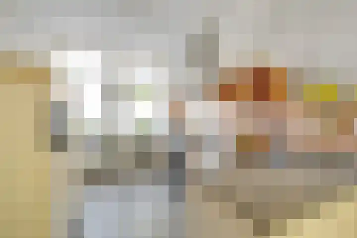 Warande 65 Schiedam thumbnail 22