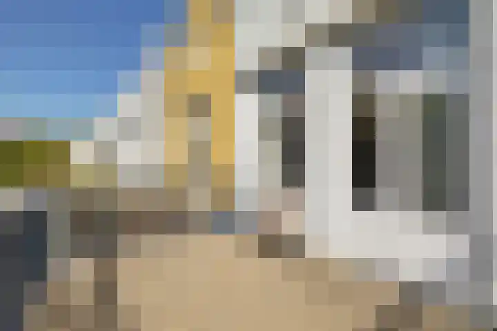 Warande 65 Schiedam thumbnail 28