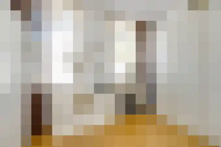 Warande 65 Schiedam thumbnail 31