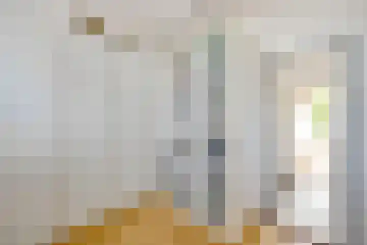 Warande 65 Schiedam thumbnail 32