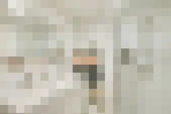 Warande 65 Schiedam thumbnail 34