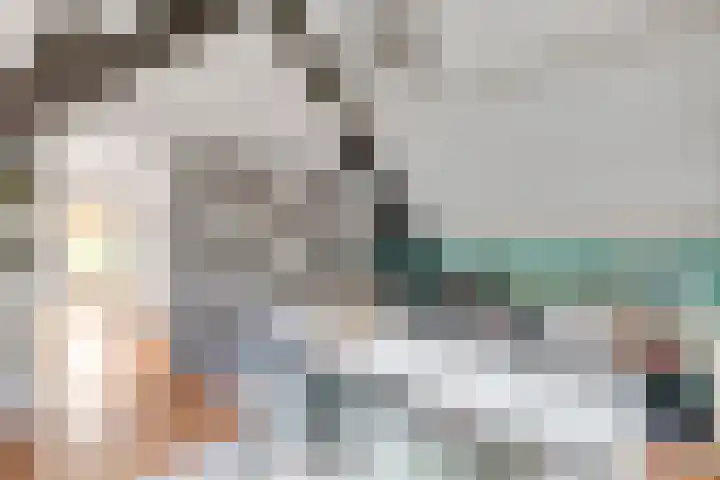 Warande 65 Schiedam thumbnail 37