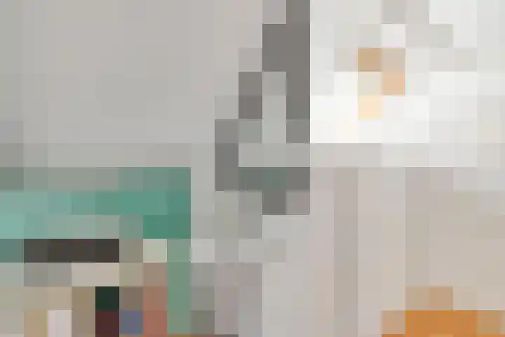 Warande 65 Schiedam thumbnail 38