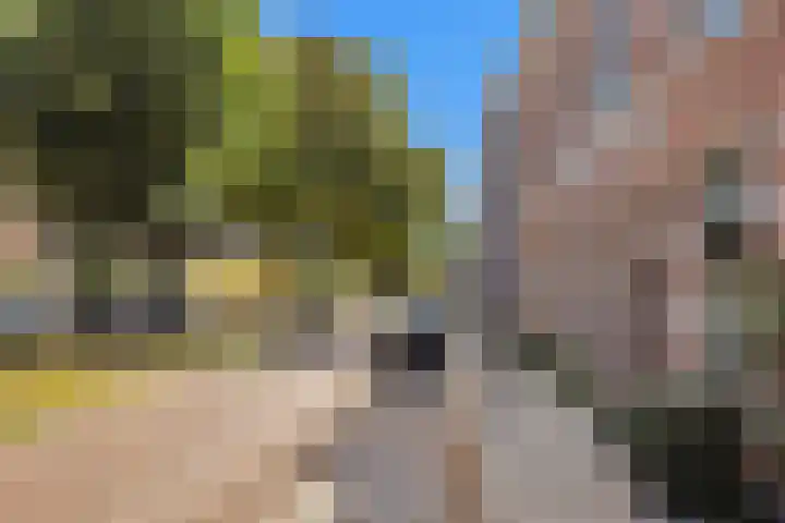 Warande 65 Schiedam thumbnail 41