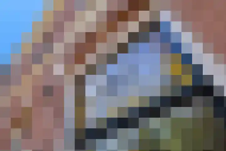 Warande 65 Schiedam thumbnail 42