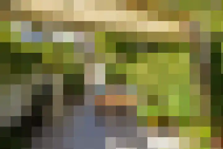 Warande 65 Schiedam thumbnail 5