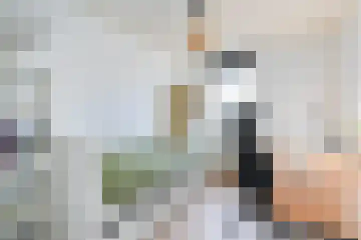 Warande 66 Rijswijk thumbnail 26