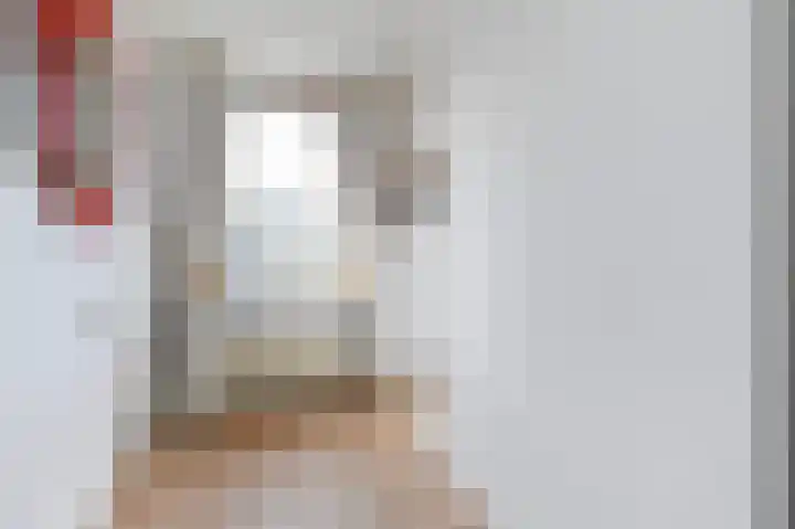 Warande 66 Rijswijk thumbnail 27