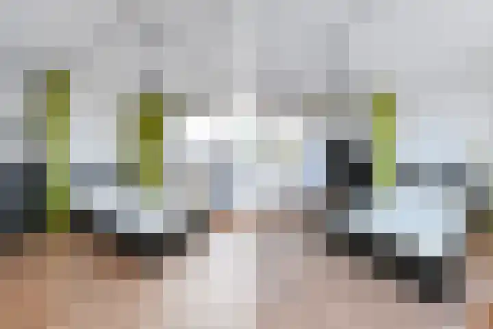 Warande 66 Rijswijk thumbnail 32
