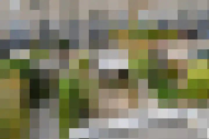 Warande 66 Rijswijk thumbnail 34