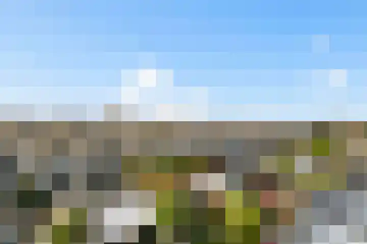 Warande 66 Rijswijk thumbnail 35