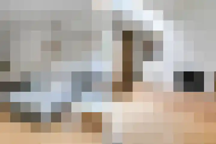 Warande 66 Rijswijk thumbnail 4