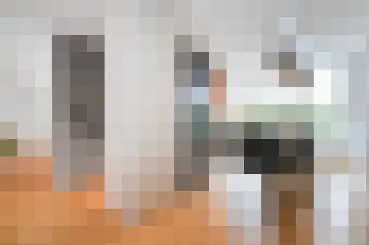 Warande 66 Rijswijk thumbnail 8