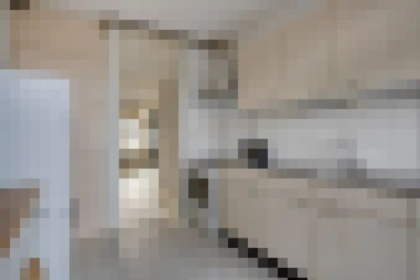 Warande 69 Rotterdam thumbnail 11