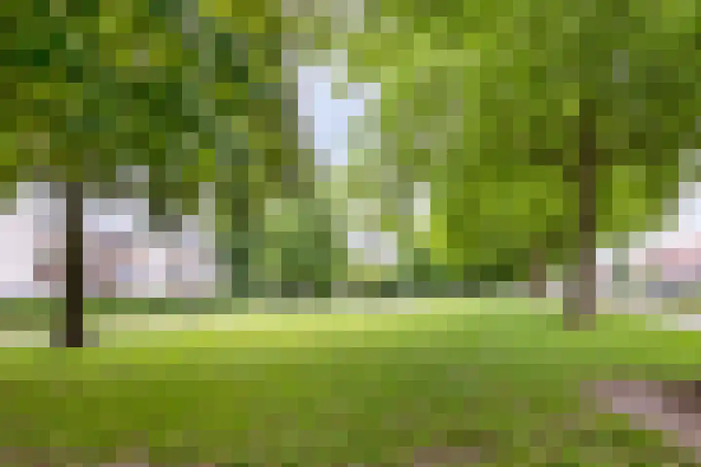 Warande 69 Rotterdam thumbnail 26