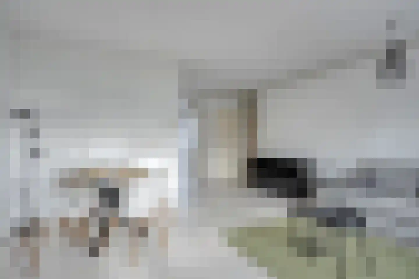Warande 69 Rotterdam thumbnail 8