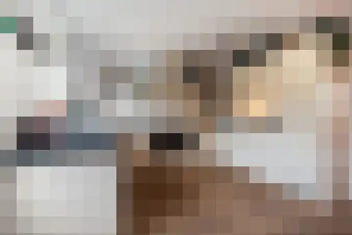 Warande 71 Wijk bij Duurstede thumbnail 12
