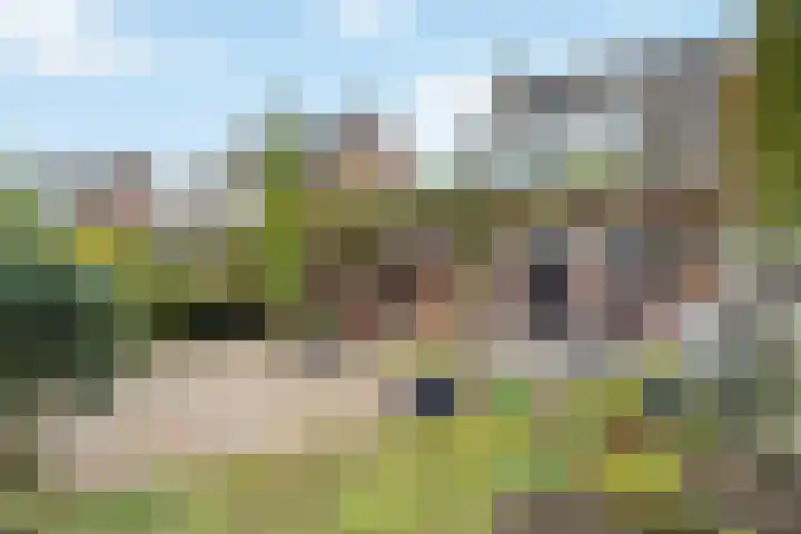 Warande 71 Wijk bij Duurstede foto 2