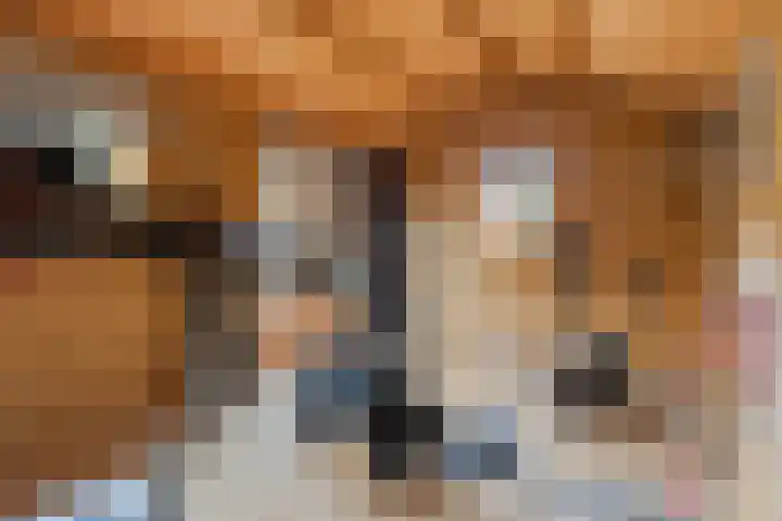 Warande 71 Wijk bij Duurstede thumbnail 28